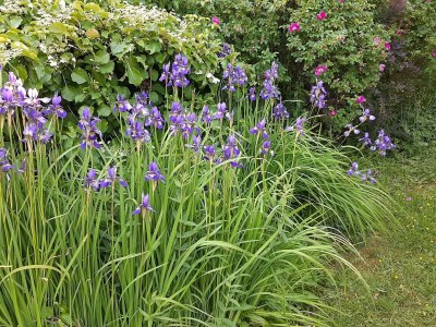 Holiday house 6 Personen Ferienhaus in Lyngdal - Outdoor photo 9