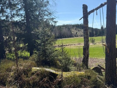 Holiday house 4 Sterne Ferienhaus in Grimstad - Outdoor photo 11