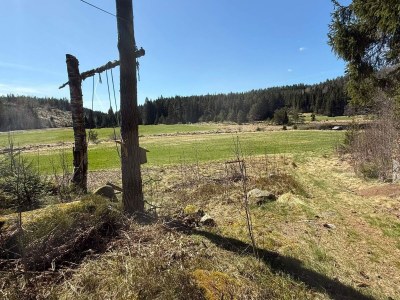 Holiday house 4 Sterne Ferienhaus in Grimstad - Outdoor photo 14