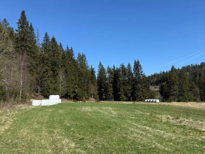 Holiday house 4 Sterne Ferienhaus in Grimstad - Outdoor photo 16