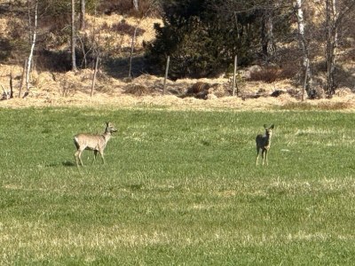 Holiday house 4 Sterne Ferienhaus in Grimstad - Outdoor photo 20