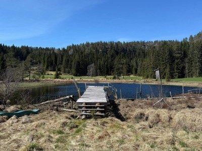 Holiday house 4 Sterne Ferienhaus in Grimstad - Outdoor photo 21