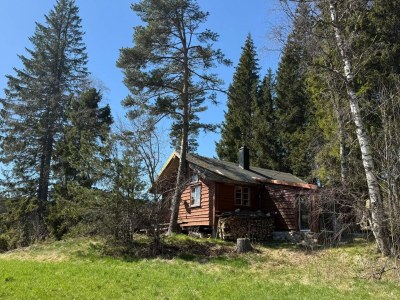 Holiday house 4 Sterne Ferienhaus in Grimstad - Outdoor photo 28