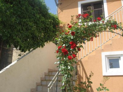 Apartment Apartment Luca - Two Bedroom Apartment with Terrace in Prvić (Šibenik) - Apartment