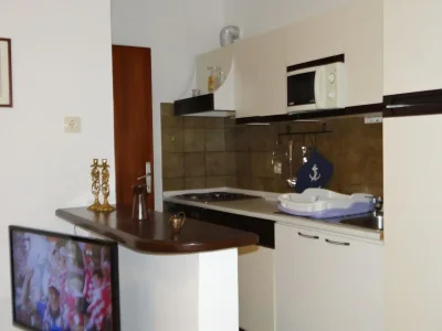 Apartment Scenic and Refined Krk Apartment with Terrace - One Bedroom Apartment with Terrace - Features photo 9