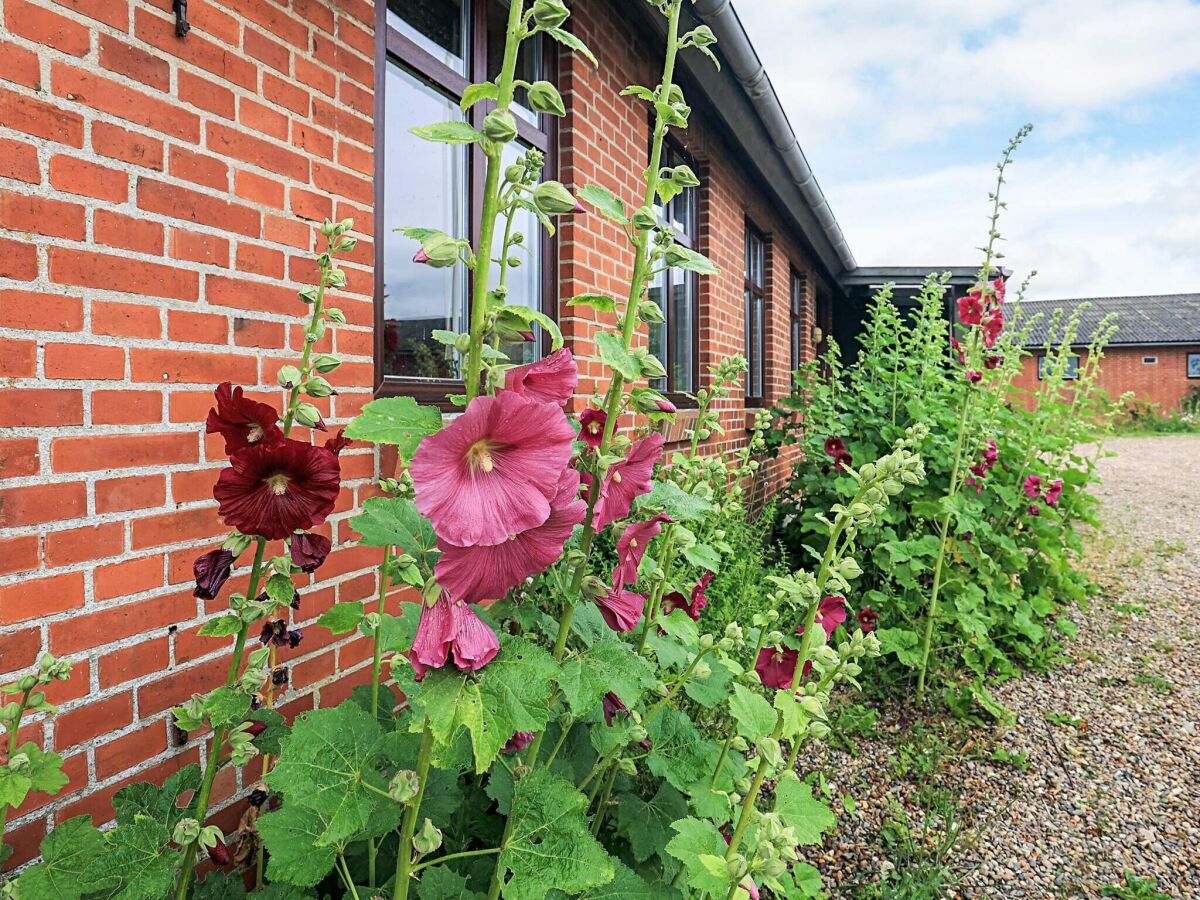 Holiday house 10 Personen Ferienhaus in Spøttrup - Outdoor photo 3