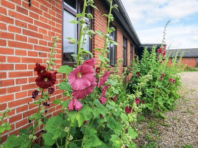 Holiday house 10 Personen Ferienhaus in Spøttrup - Outdoor photo 3