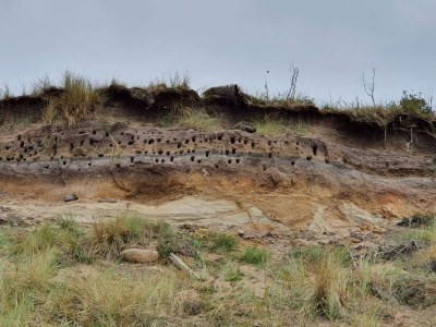 Holiday house 10 Personen Ferienhaus in Spøttrup - Outdoor photo 19
