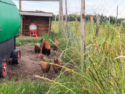 Holiday house 10 Personen Ferienhaus in Spøttrup - Outdoor photo 31