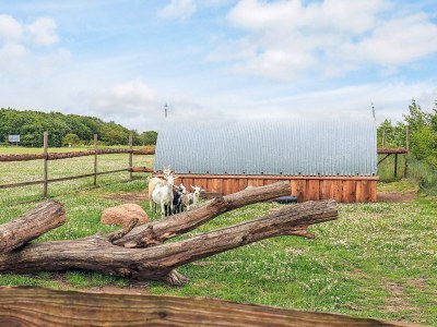 Holiday house 10 Personen Ferienhaus in Spøttrup - Outdoor photo 37