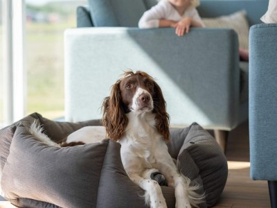 Holiday house 5 Sterne Ferienhaus in Bogense - Outdoor photo 33