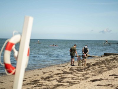 Holiday house 5 Sterne Ferienhaus in Bogense - Outdoor photo 34