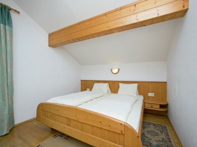 Holiday house Apartment in Zauchensee near Ski Bus - Features photo 11