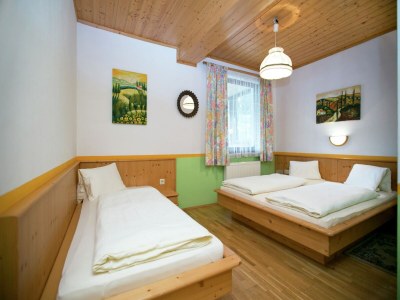 Holiday house Apartment in Zauchensee near Ski Bus - Features photo 12