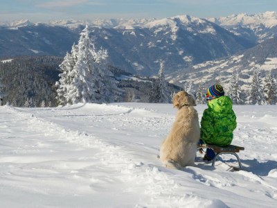 Apartment Wohnung in Gerlitzen mit Panoramablick - Environment photo 16
