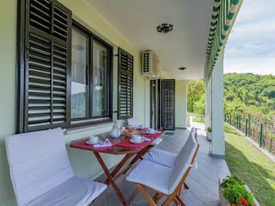 Apartment Apartment in Cerovlje near Zarecki Waterfall - Outdoor photo 7