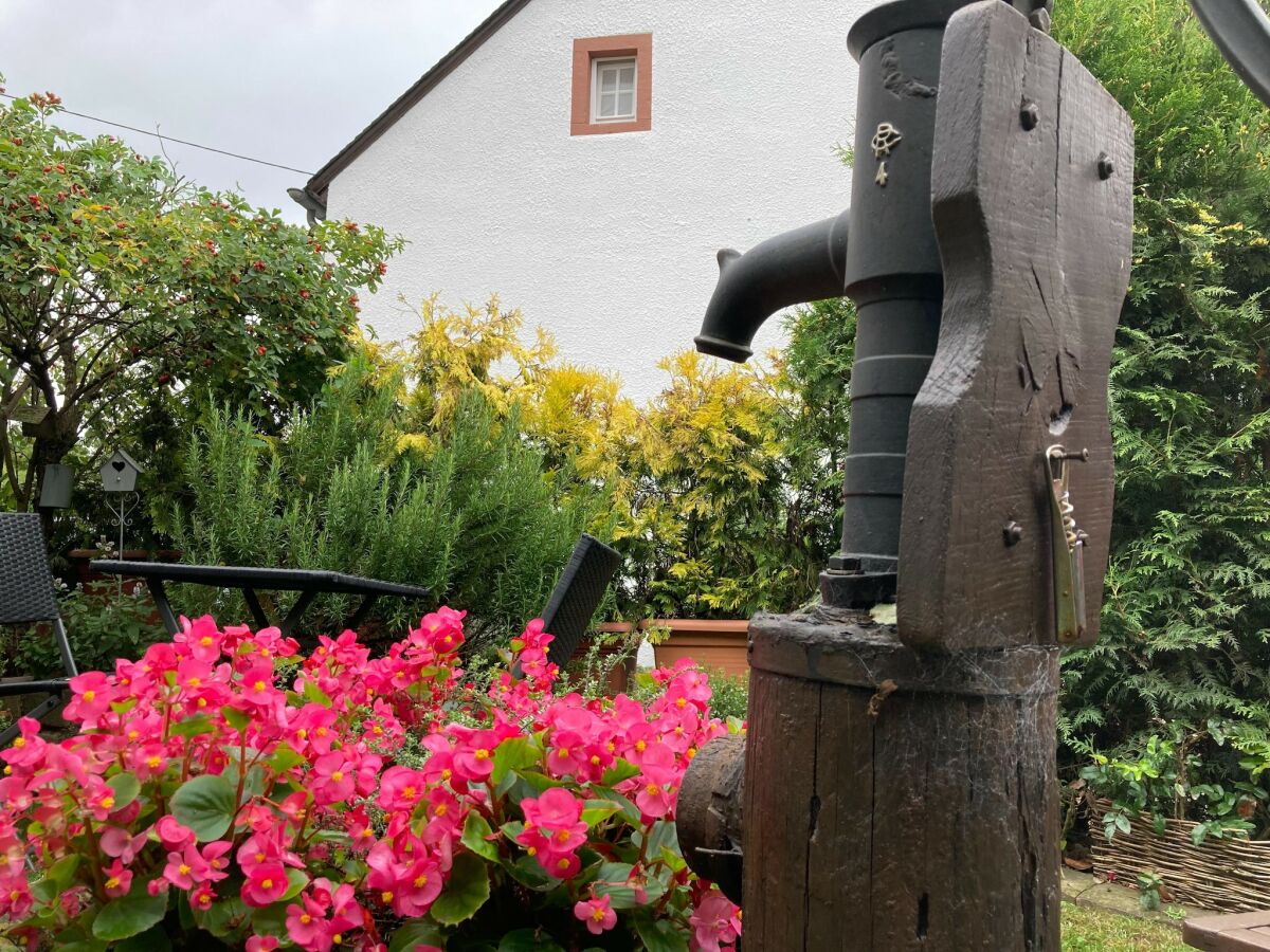 Apartment Apartment Welschbilling near Trails - Outdoor photo 3