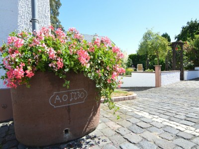 Apartment Apartment Welschbilling near Trails - Outdoor photo 27
