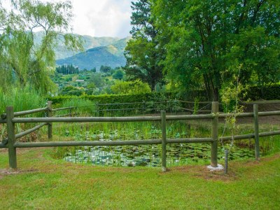 Farmhouse Family Villa close to Beaches and Lucca - Outdoor photo 2