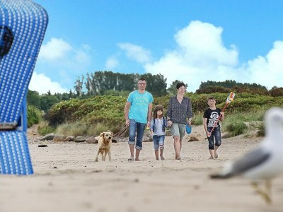 Holiday park Blockhaus im Ostseeresort Dampland - Environment photo 22