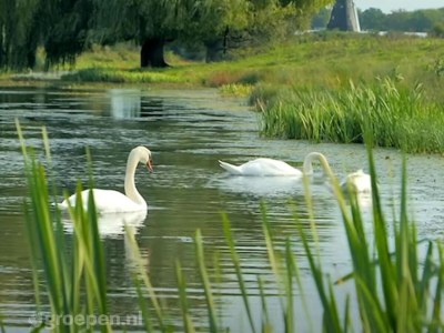 Villa Ferienhaus in Beesel bei Maasplassen - Outdoor photo 29
