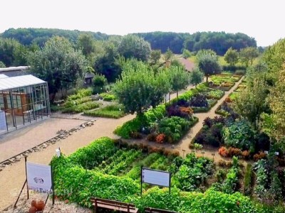 Villa Ferienhaus in Beesel bei Maasplassen - Outdoor photo 35