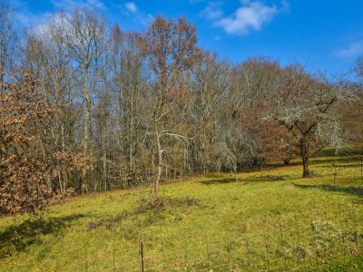 Holiday house Haus in Périgord nahe mittelalterlicher Dörfer - Outdoor photo 7