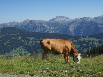 Apartment Wohnung 1 - Outdoor photo 10