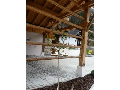 Apartment Senner - Outdoor photo 6