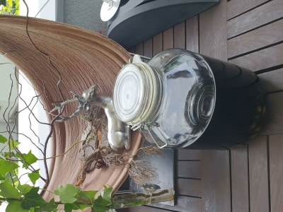 Apartment Senner - Outdoor photo 26