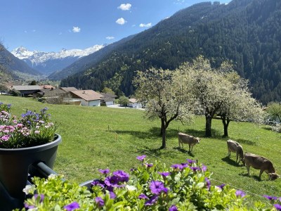 Apartment Ferienwohnung Albuin - Outdoor photo 6