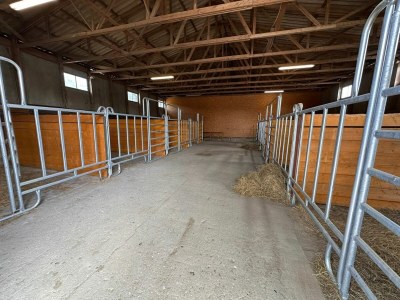 Holiday house Eickhof Ferienhof für 15 Personen - Ferienhof Günter - Outdoor photo 22