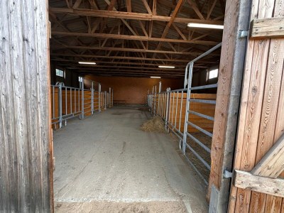 Holiday house Eickhof Ferienhof für 15 Personen - Ferienhof Günter - Outdoor photo 23