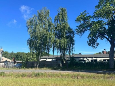 Holiday house Eickhof Ferienhaus - Ferienhof Günter - Outdoor photo 6