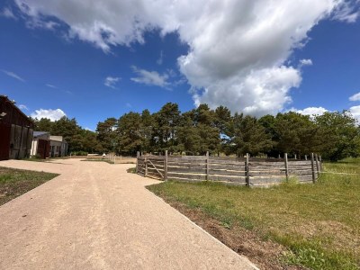 Holiday house Eickhof Ferienhaus - Ferienhof Günter - Outdoor photo 25