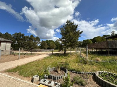 Holiday room Eickhof Ferienzimmer - Ferienhof Günter - Outdoor photo 10
