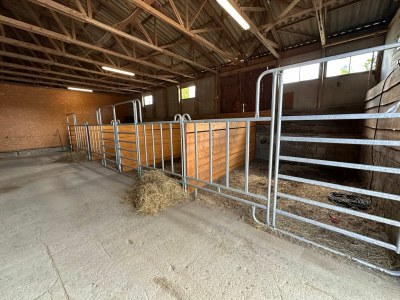 Holiday room Eickhof Ferienzimmer - Ferienhof Günter - Outdoor photo 11