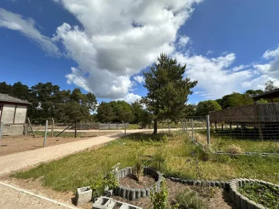 Holiday room Eickhof Ferienzimmer - Ferienhof Günter - Outdoor photo 9
