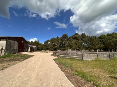 Holiday room Eickhof Ferienzimmer - Ferienhof Günter - Outdoor photo 10