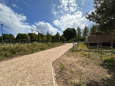 Holiday room Eickhof Ferienzimmer - Ferienhof Günter - Outdoor photo 11