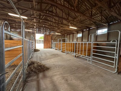 Holiday room Eickhof Ferienzimmer - Ferienhof Günter - Outdoor photo 13