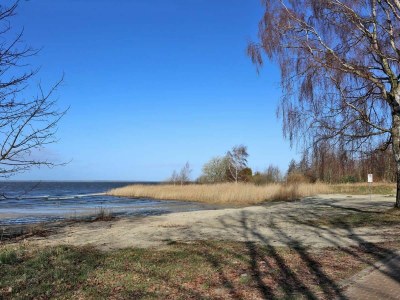 Holiday house Fischerhuus am Darß - Ostsee Bodden inkl. Parkplatz und wLAN - Outdoor photo 19
