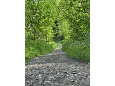 Holiday house Tine and Clara´s holiday home - Environment photo 28