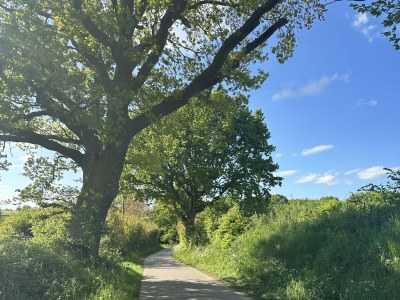 Holiday house Tine and Clara´s holiday home - Environment photo 29