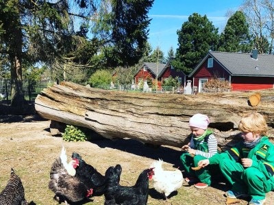 Holiday house Lindenhaus - Outdoor photo 3