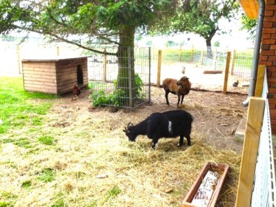 Holiday house No title - Environment photo 25