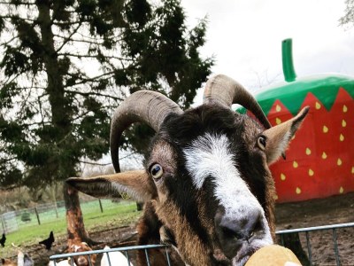 Holiday house No title - Environment photo 14