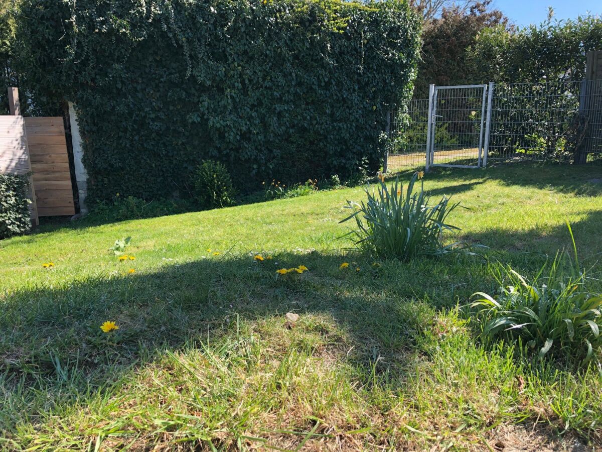 Holiday house hierin die Wohnugn Berg - Outdoor photo 5