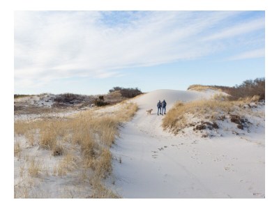 Chalet Duinpan Wasser 5 - Environment photo 24