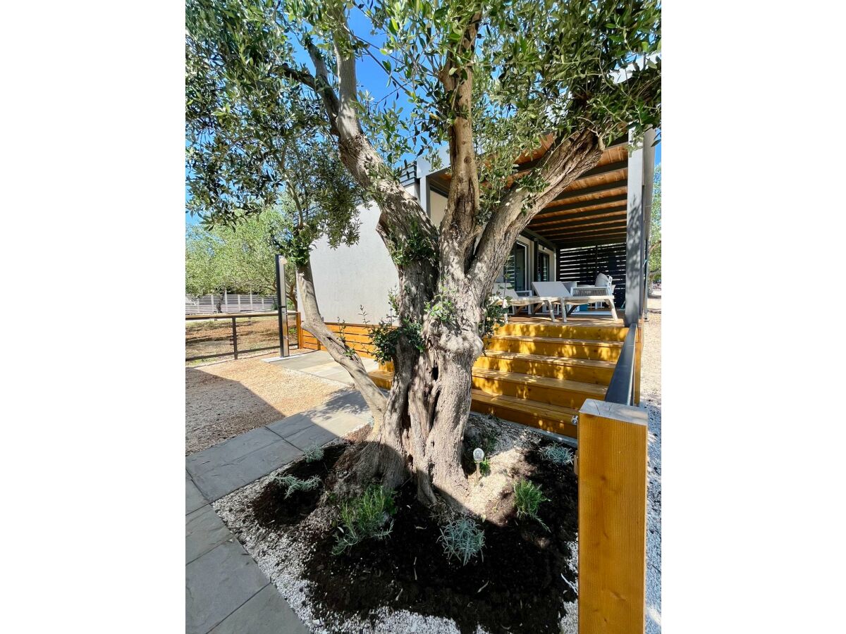 Mobile home Casaneva - Outdoor photo 2